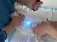 -嘉馨宠物医院·CT影像转诊·心脏科·犬猫全科诊疗中心(下沙大学城院区)