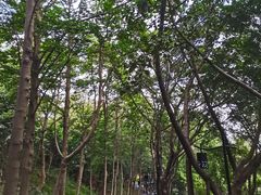 -广州雕塑公园