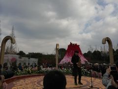 乐手演奏-金沙遗址博物馆