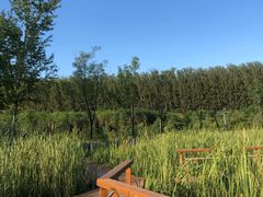 -东郊湿地公园
