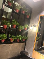 -时尚殿堂明星门店