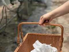 -马陆小张葡萄园农家乐