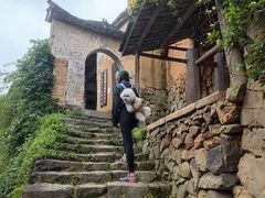 -杨家堂村