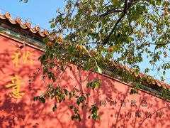 -故宫博物院(故宫)