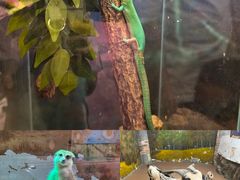 -正佳雨林生态植物园