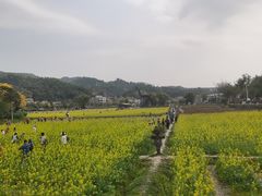 -红山村