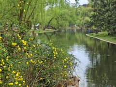 -上海共青森林公园