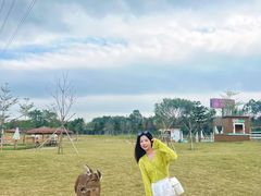 -盈香心动乐园