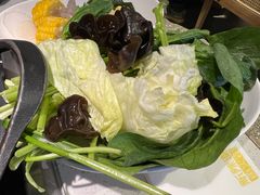 -新辣道鱼火锅(西直门店)