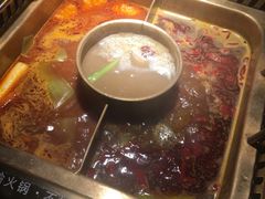 -大渝火锅(太仓万达店)