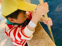 -杭州少年儿童公园