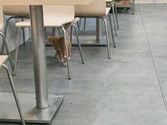 -兴兴旺·冬瓜盅·啫啫煲(西华路店)