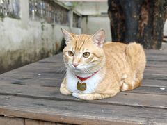 -兮食农场餐厅
