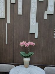 -加减美医美连锁品牌