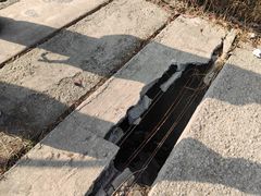 -小鱼草莓采摘园农家乐·小鱼餐厅