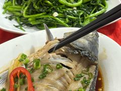 -先鲜鲫鱼粥