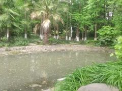 -苏州河梦清园环保主题公园