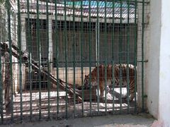 iphone_upload_pic-罗布林卡