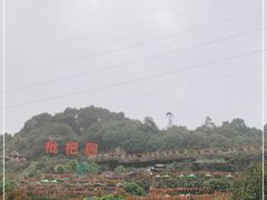-枇杷园食为鲜火锅(南山店)