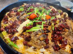 -老板恋上鱼(恒隆广场店)