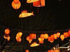 -龙湖星悦荟(颐和店)