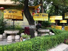 -白家大院·王府宫廷菜(苏州街店)