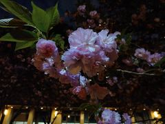 -仁恒西郊花园