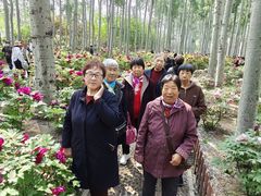 -仁和公园(顺义区)