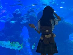 -成都浩海立方海洋公园