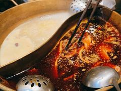 -杨家火锅(国美店)