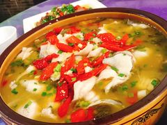 -双流老字号董蹄花(广场路店)