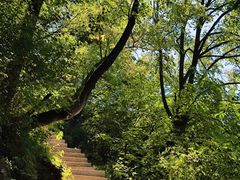 -终南山南五台景区