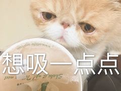 -1点点(银座和谐广场店)