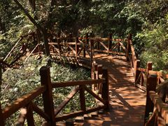 -大岭沟猕猴桃谷风景区