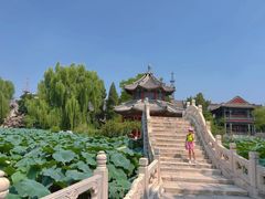 -莲池书院博物馆