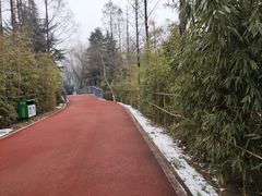 -城市运动公园(未央区)