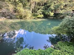 -石台牯牛降景区