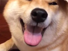 -新天地活力PARK