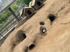 -前小桔亲子创意农场·草莓采摘·露营烧烤