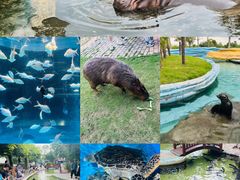-南京金牛湖风景区
