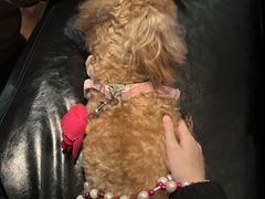 -771餐吧·咖啡·西餐·烤肉(金湖广场店)