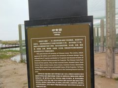-盐城丹顶鹤湿地生态旅游区