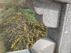 -堤角公园