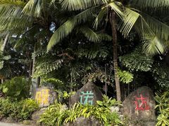 -呀诺达热带雨林