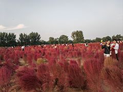 -汉长安城未央宫国家考古遗址公园