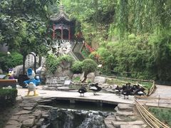 景点-西安曲江寒窑遗址公园