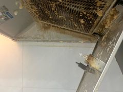 -薇尼诗花园