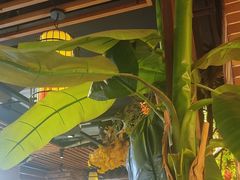 -湘厨壹品(芙蓉广场店)