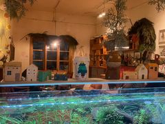 -懒鱼时光馆(沙坪坝店)
