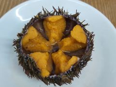 -海胆小馆(东北水饺·春柳店)